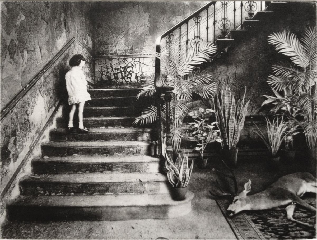 Photorealistic Botanical Etchings & Engravings By Jaco Putker, 13 X 10, Interior No.12, Original Artwork