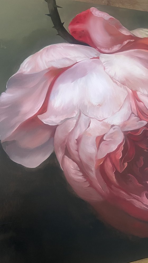Old Holland flower 12