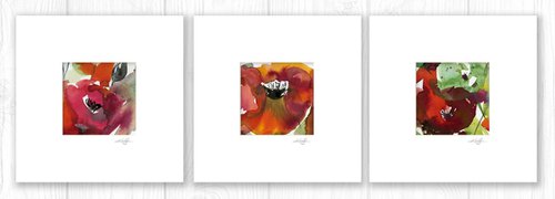 Abstract Florals Collection 7 - 3 Flower Paintings in mats by Kathy Morton Stanion by Kathy Morton Stanion
