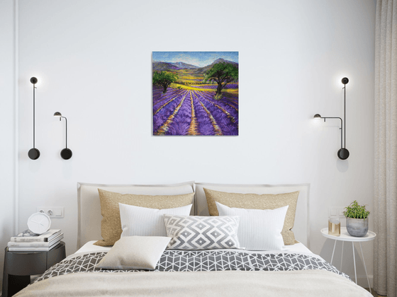 Lavender Fields