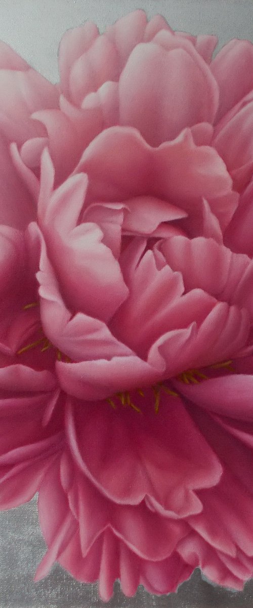 pink peony painting "King of Flowers" by Tatyana Mironova