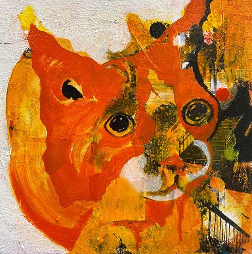 Staircase cats "C" by Peter Jakab Szőke