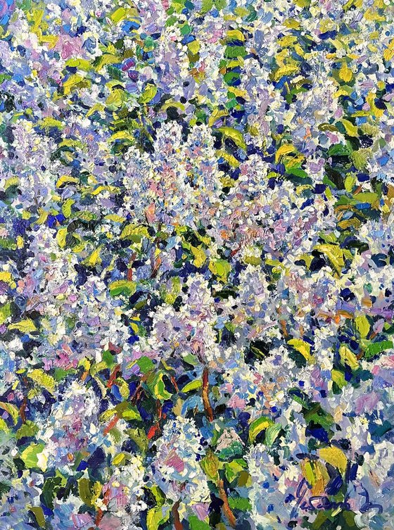 “Lilac”