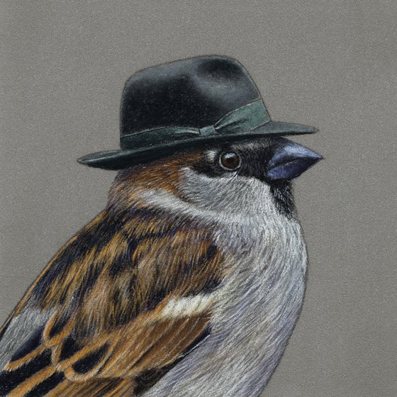 Original pastel drawing bird "House sparrow"