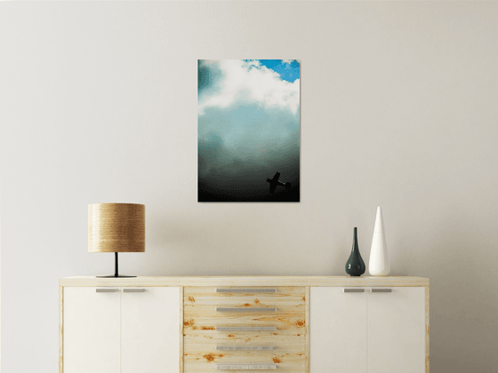 Aerobatics II | Limited Edition Fine Art Print 1 of 10 | 40 x 60 cm