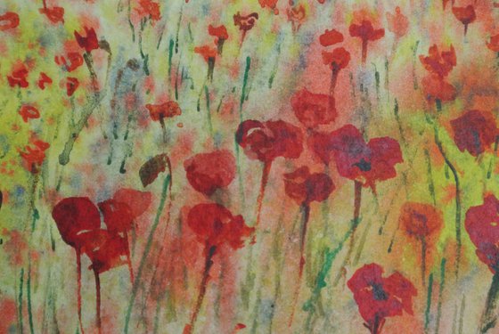 Poppy field at Sunrise - Original Watercolour