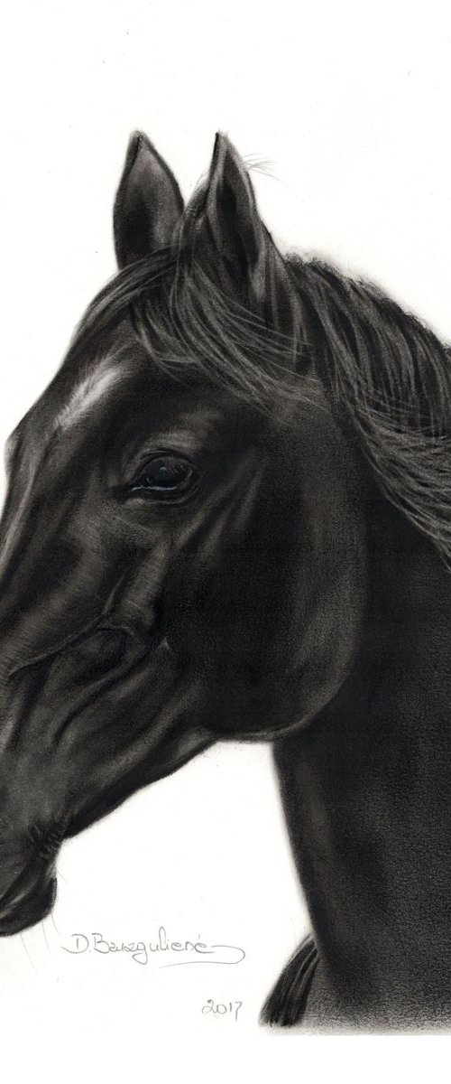 Oil painting ,,  Horse NOIR ,, by Deimante Bruzguliene