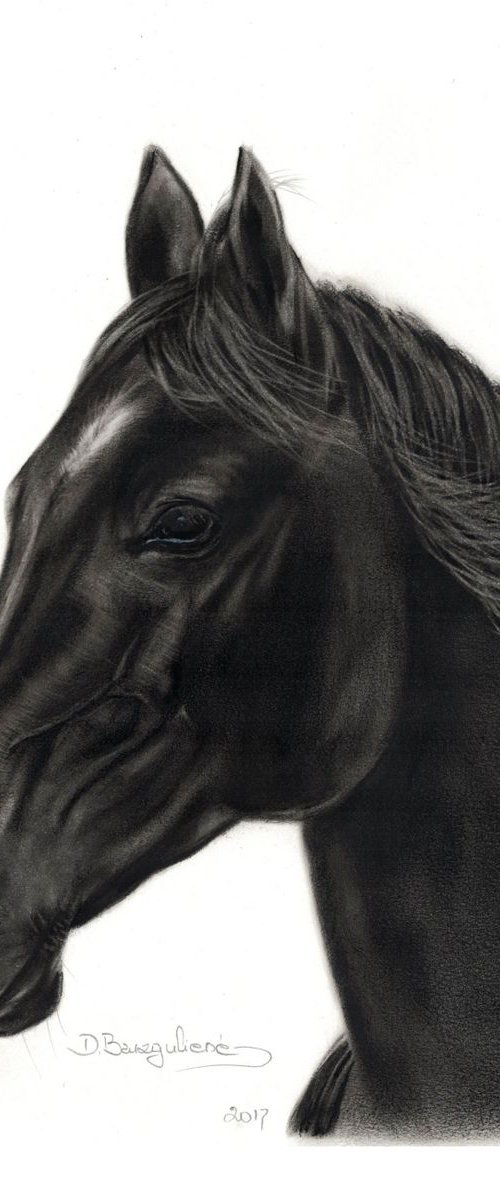 ,, Horse NOIR ,, by Deimante Bruzguliene