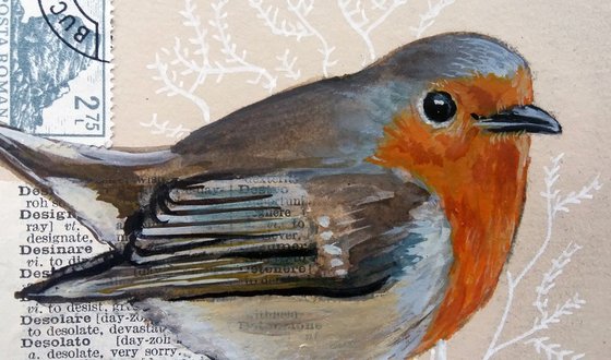 The Robin feather  (framed and ready to hang)