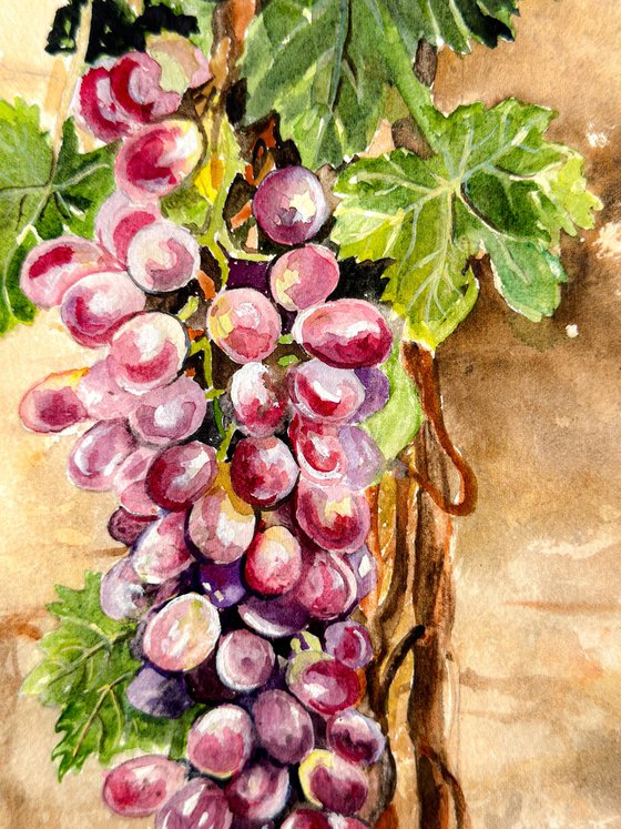 Whispers Through the Wall – Grapevine