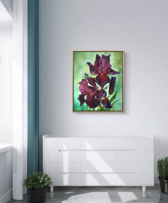 Play with Fire Irises