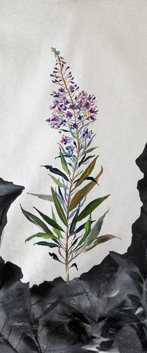 Fireweed by Delnara El