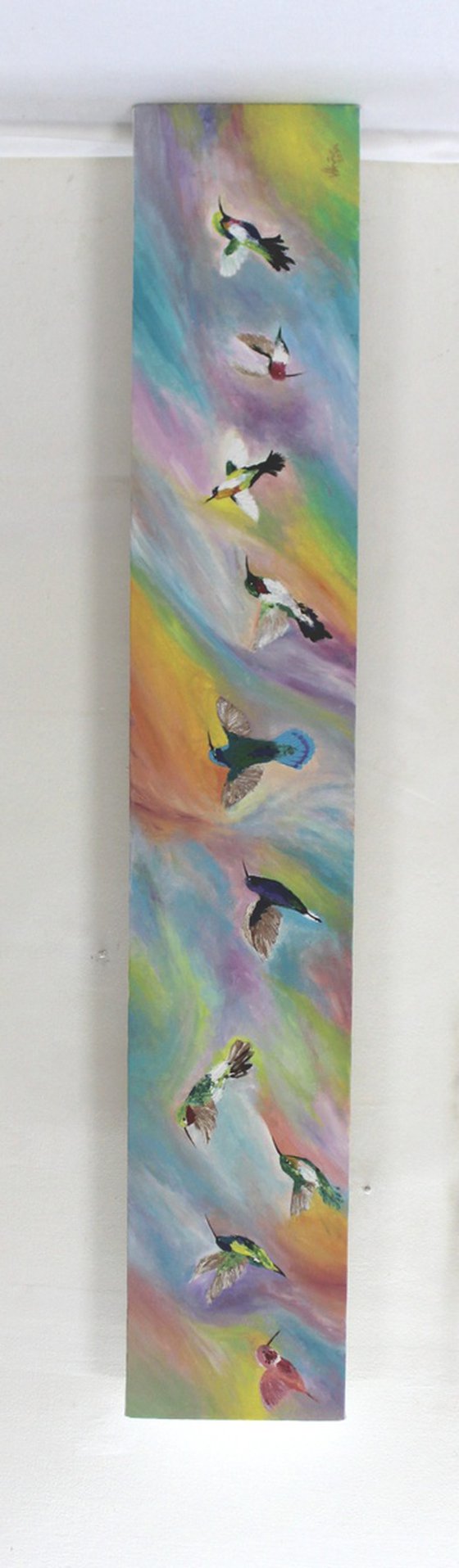 Prismatic SpectrumHummingbirds