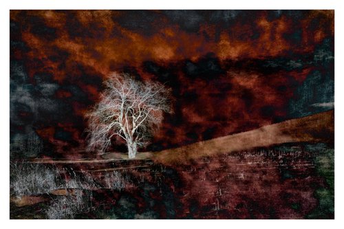 Ghost Tree - 36 x 24"-  After Series by Brooke T Ryan