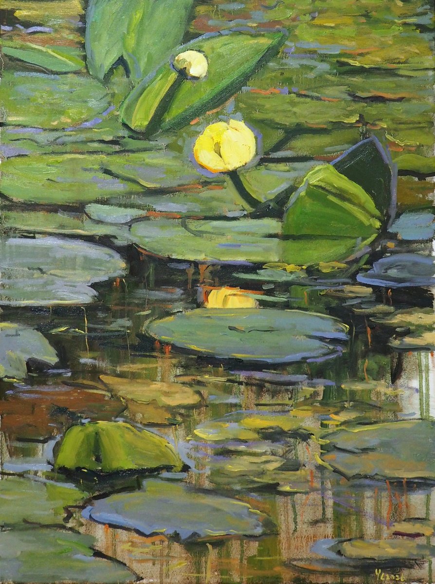Water Lilies By Yuanyuan Liu, 24 X 31, Artwork For Sale On Artfinder