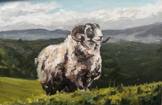 King of the Hill