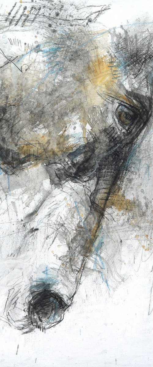 Expression 5p by Benedicte Gele