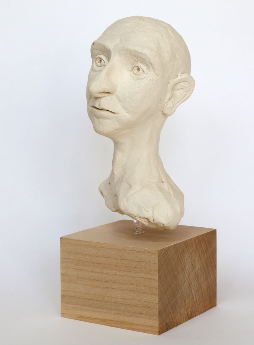 Vlad: ceramic portrait sculpture by Gabrielle Turner