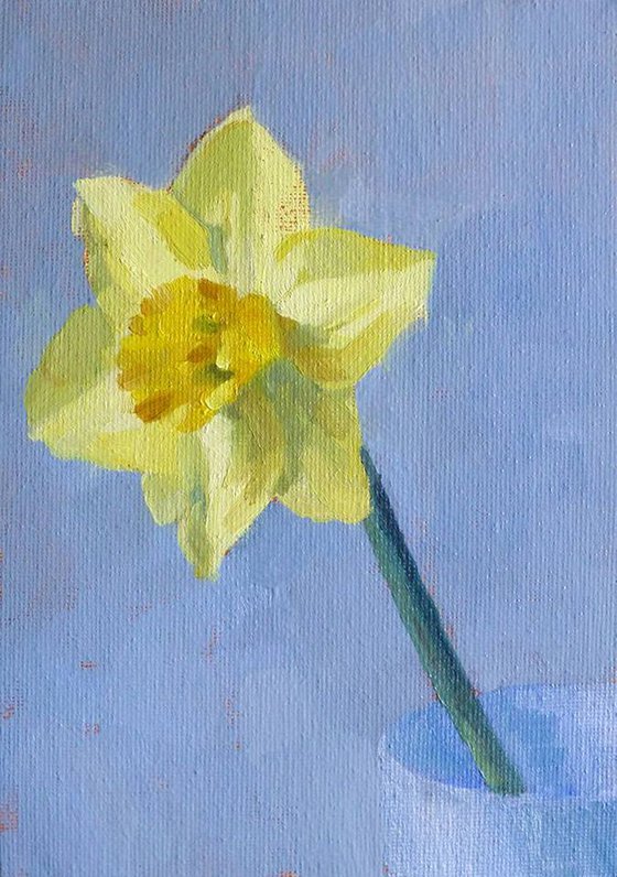 Daffodil