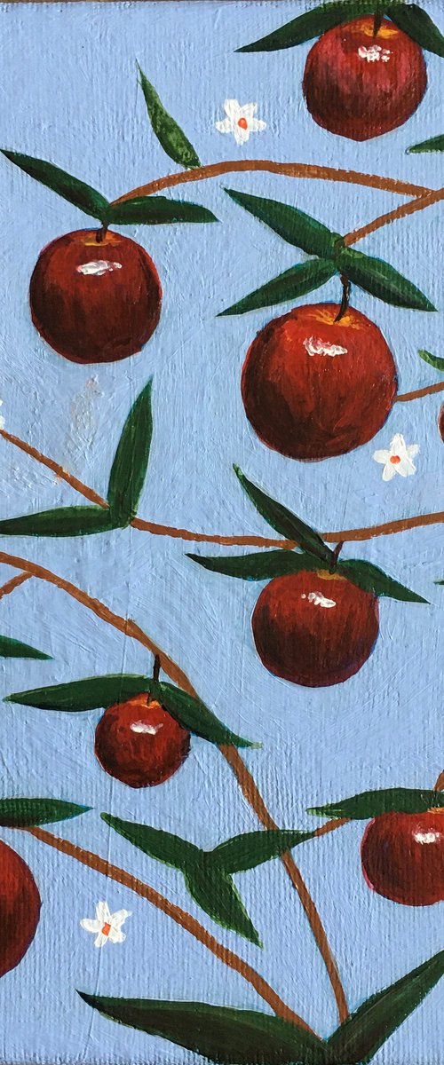 Apples by Amelia Taylor