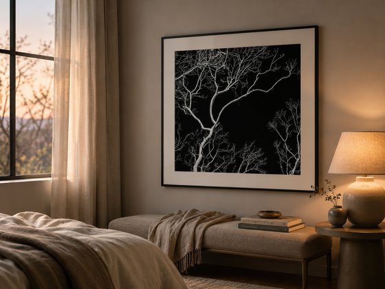 Veins of Light