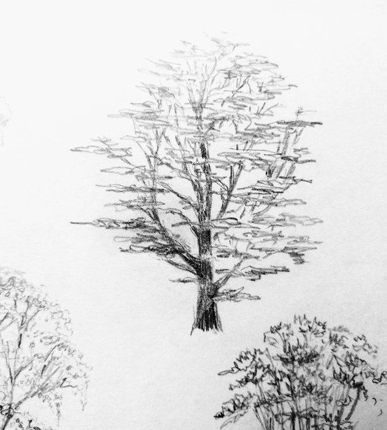 Plein air. Sketch # 4. Original pencil drawing.