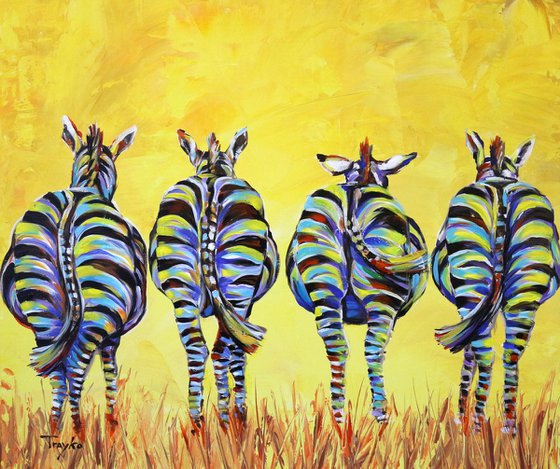 Zebras | Africa | Wildlife