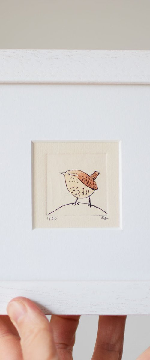 Wren by Sally Fisher