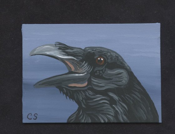 ACEO ATC Original Miniature Painting Black Raven Crow Bird Wildlife Art-Carla Smale