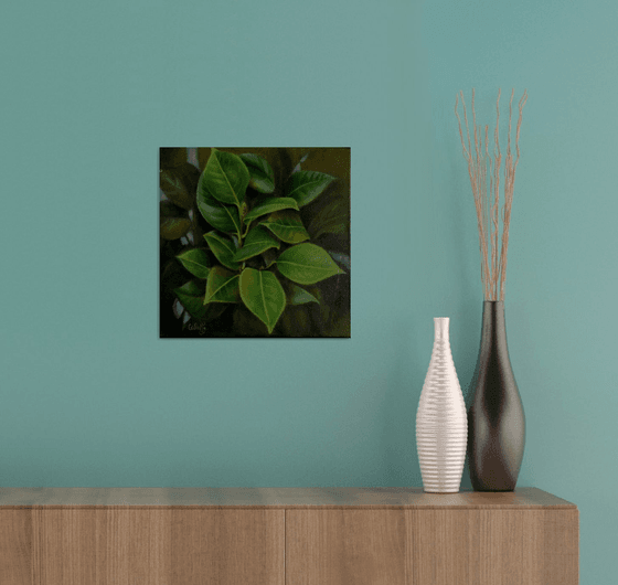 Isolated camellia