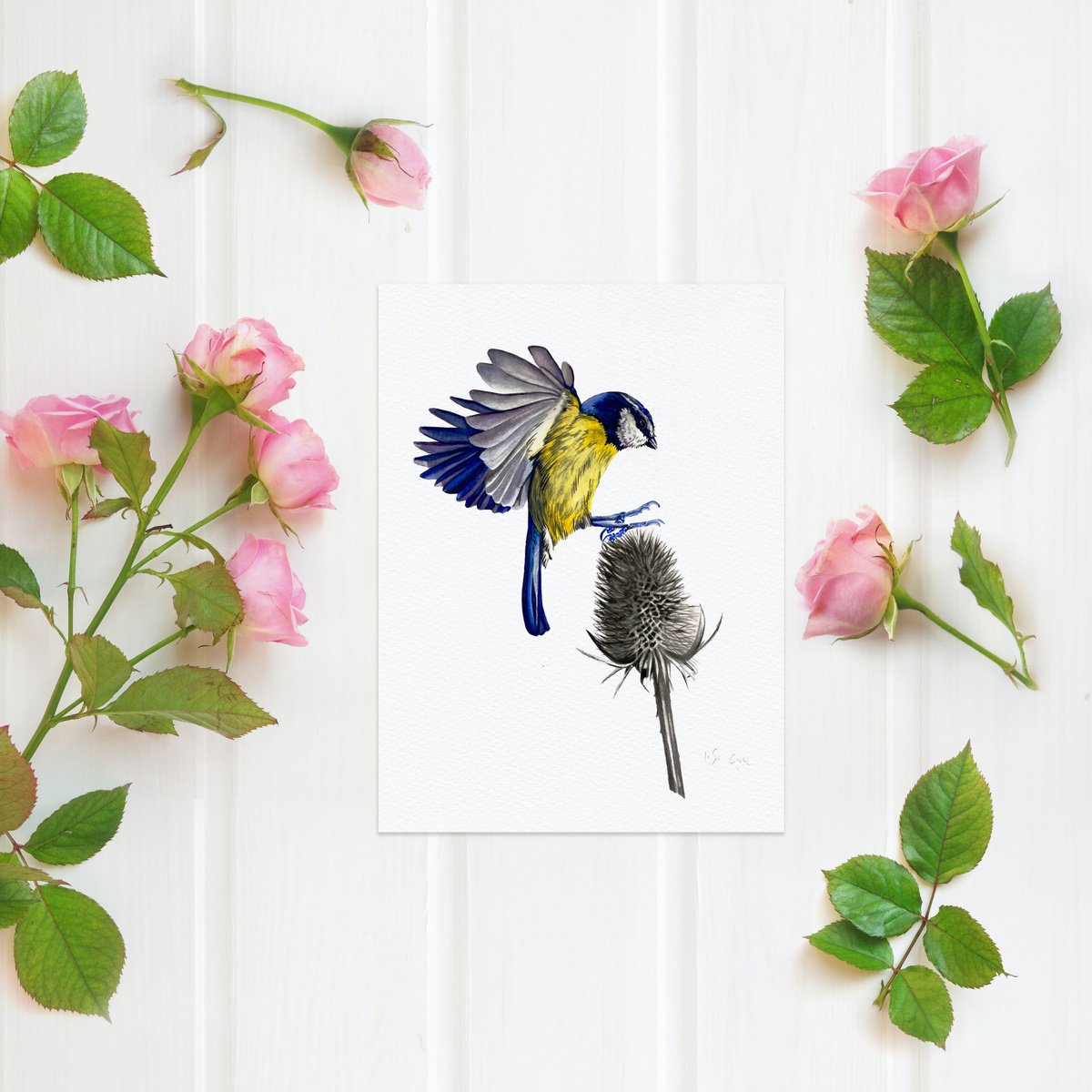 Blue Tit And Thistle by Irsa Ervin