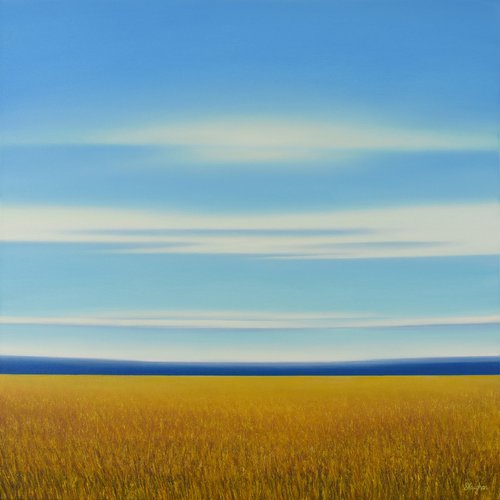 Golden Summer Field - Blue Sky Gold Field Landscape by Suzanne Vaughan