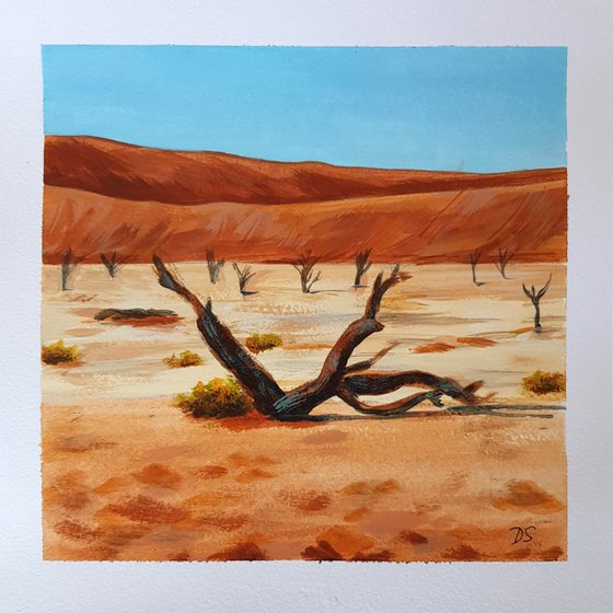 Desert Acacia