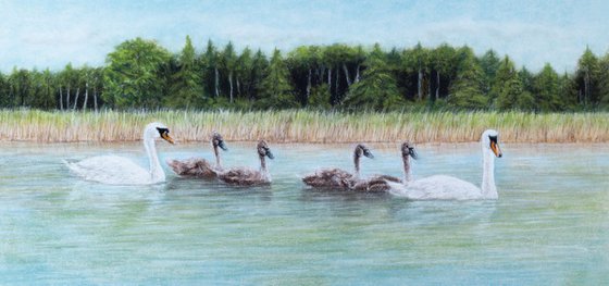 Original pastel drawing "Family of swans"