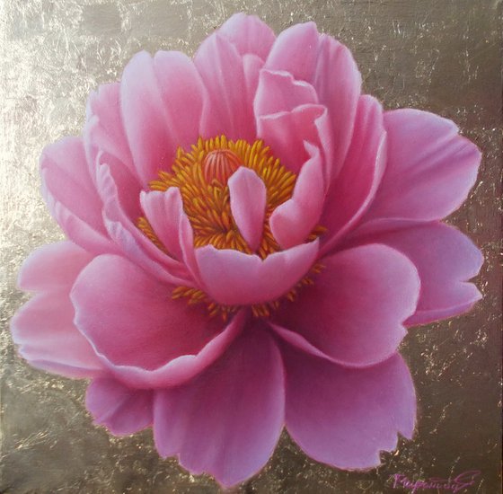 "Magic of Bloom"