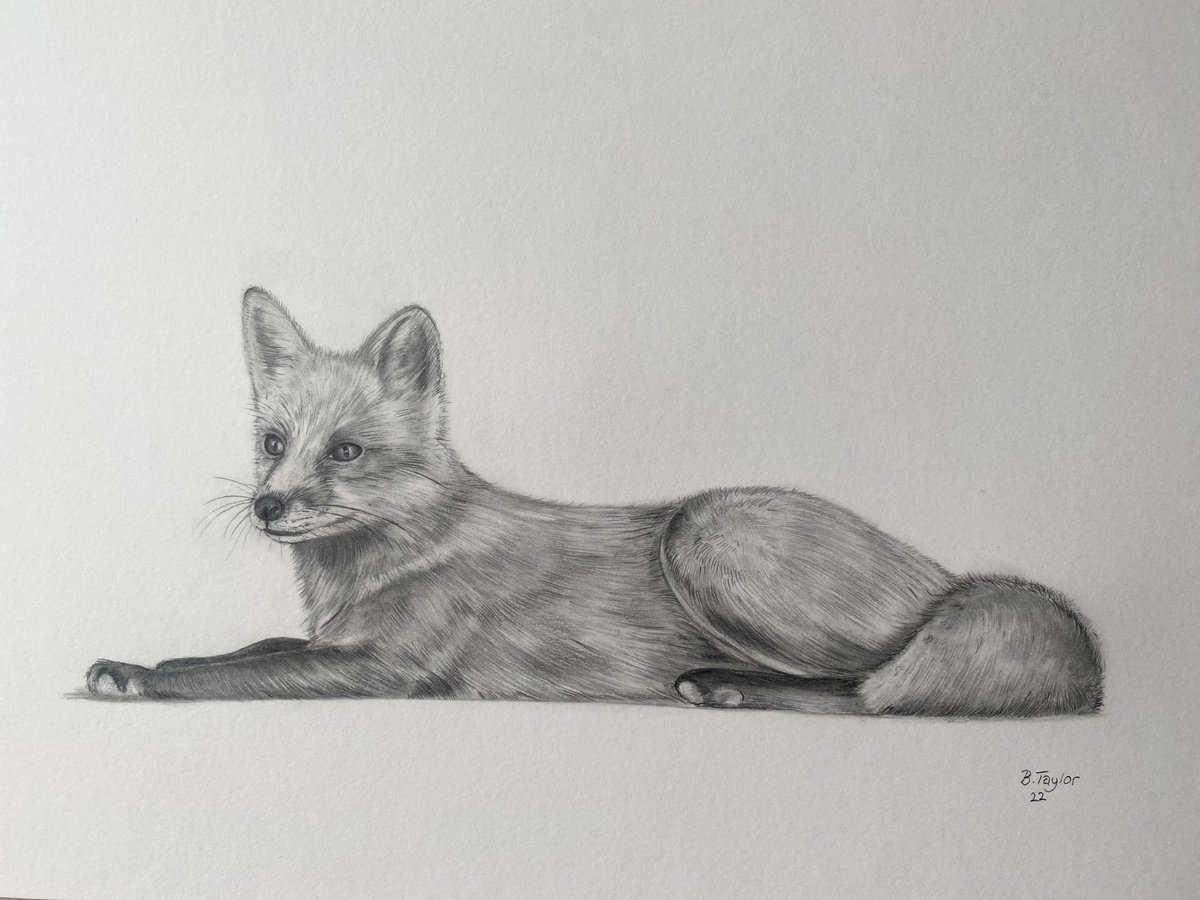The Wise fox by Bethany Taylor