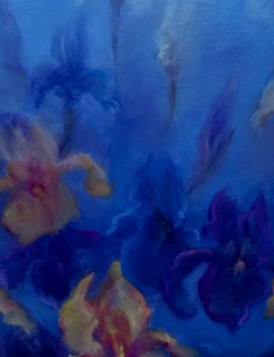 Blue and Gold - Irises