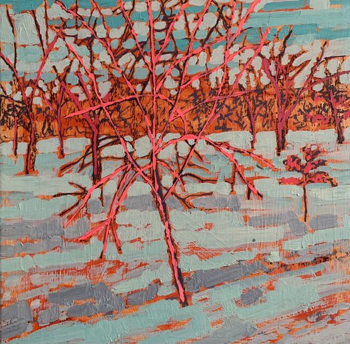 Winter solstice- old orchard by Kim Atlin