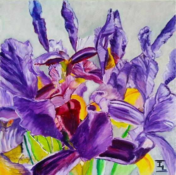 Irises - Spring flowers