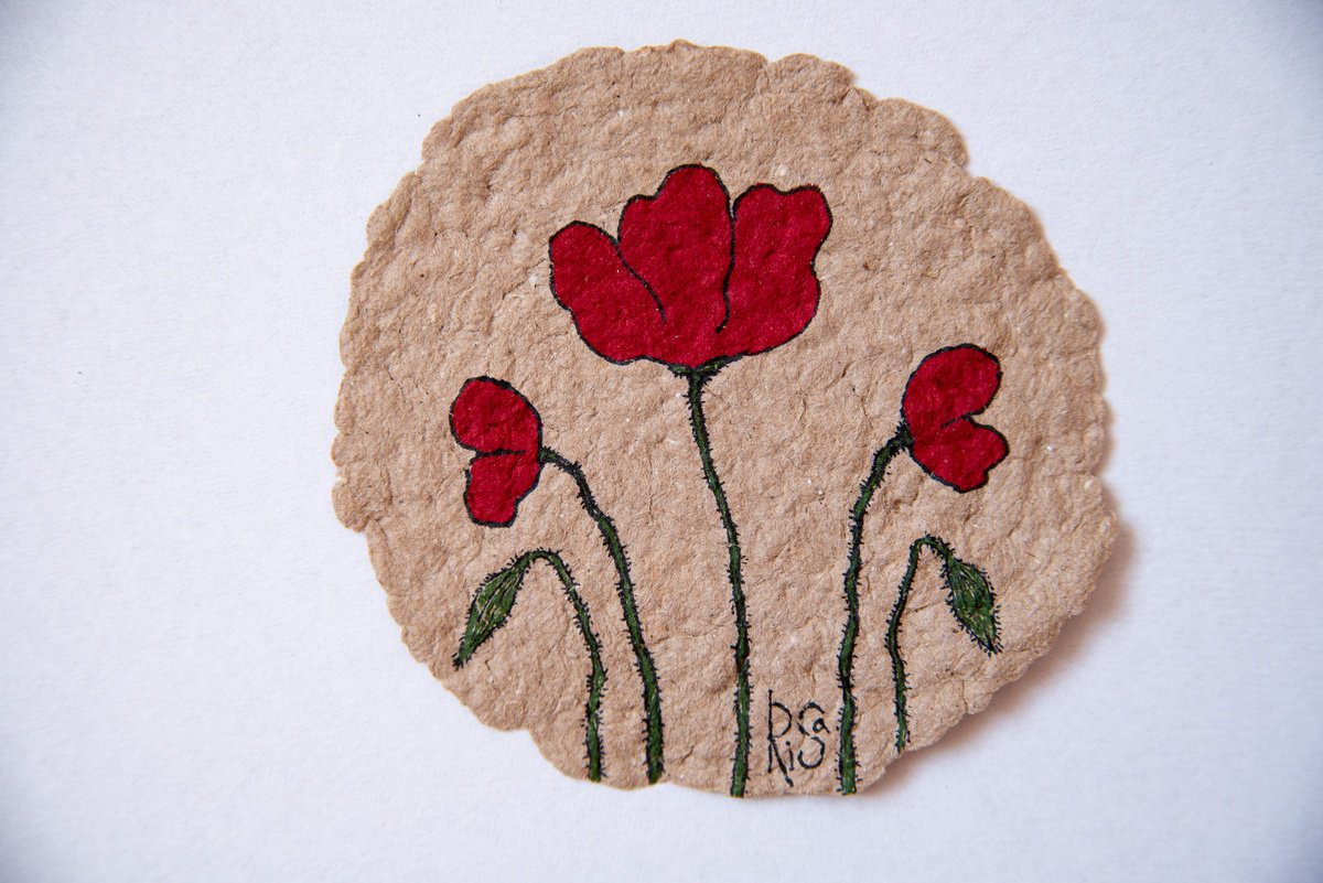 Poppies small drawing by Rimma Savina