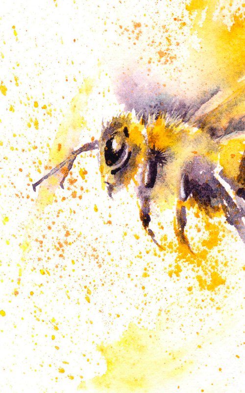 Honey bee by Anjana Cawdell