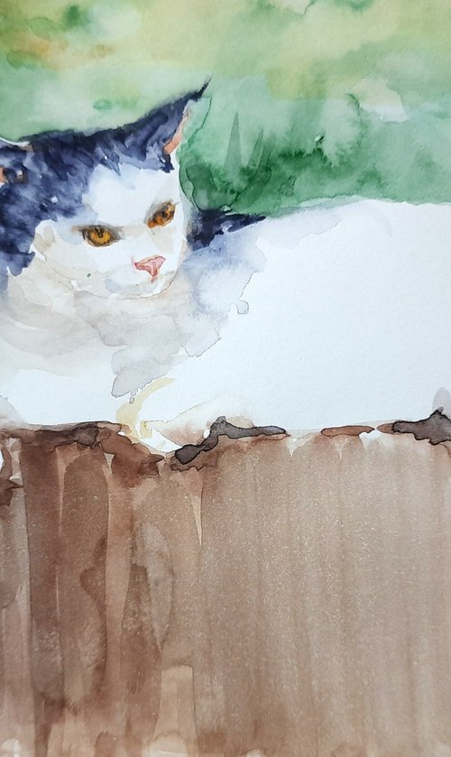 Cat on the wall 2 by Asha Shenoy