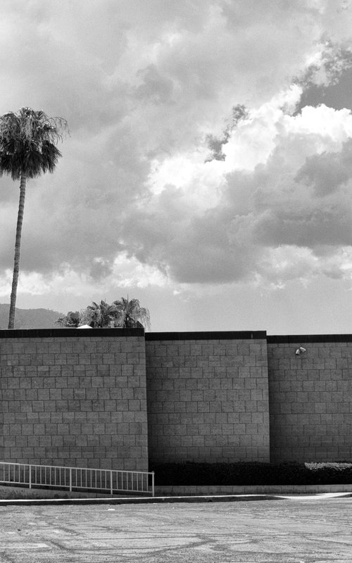 PALM SPRINGS CITY HALL by William Dey