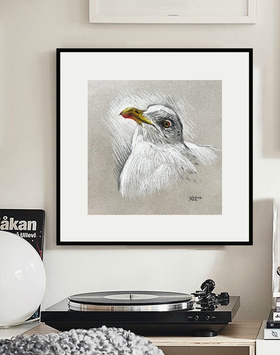 Portrait of a seagull.