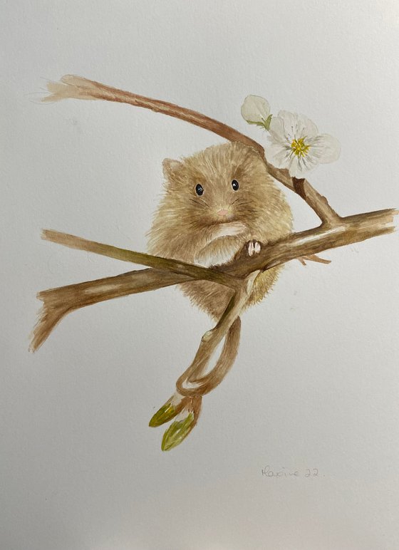 Mouse on branch