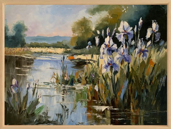 Lakeside Irises dream.