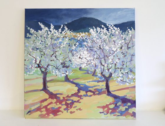 Almond Orchard, Jalo Valley