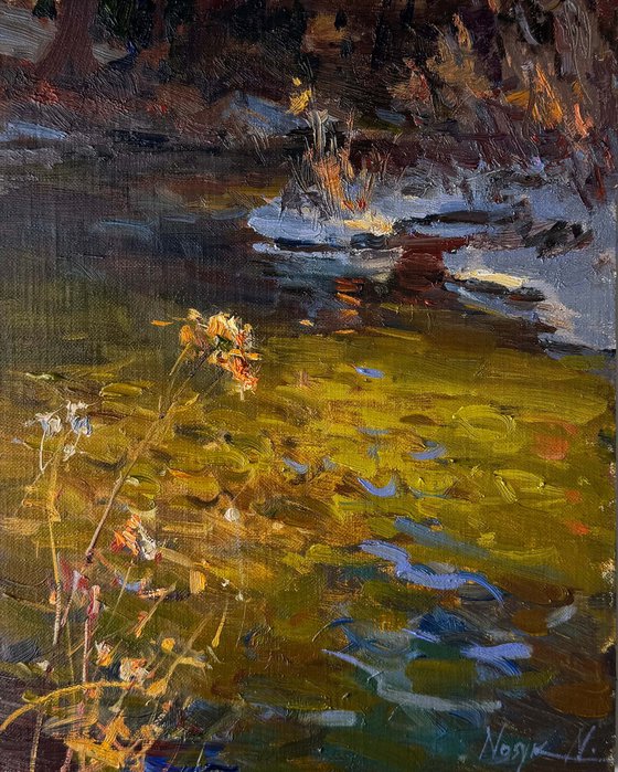 Silent Shore