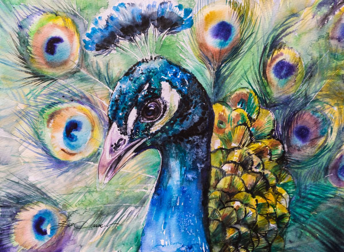 Photorealistic Animal Watercolour By Eve Mazur, 19 X 14, Peacock, Original Artwork