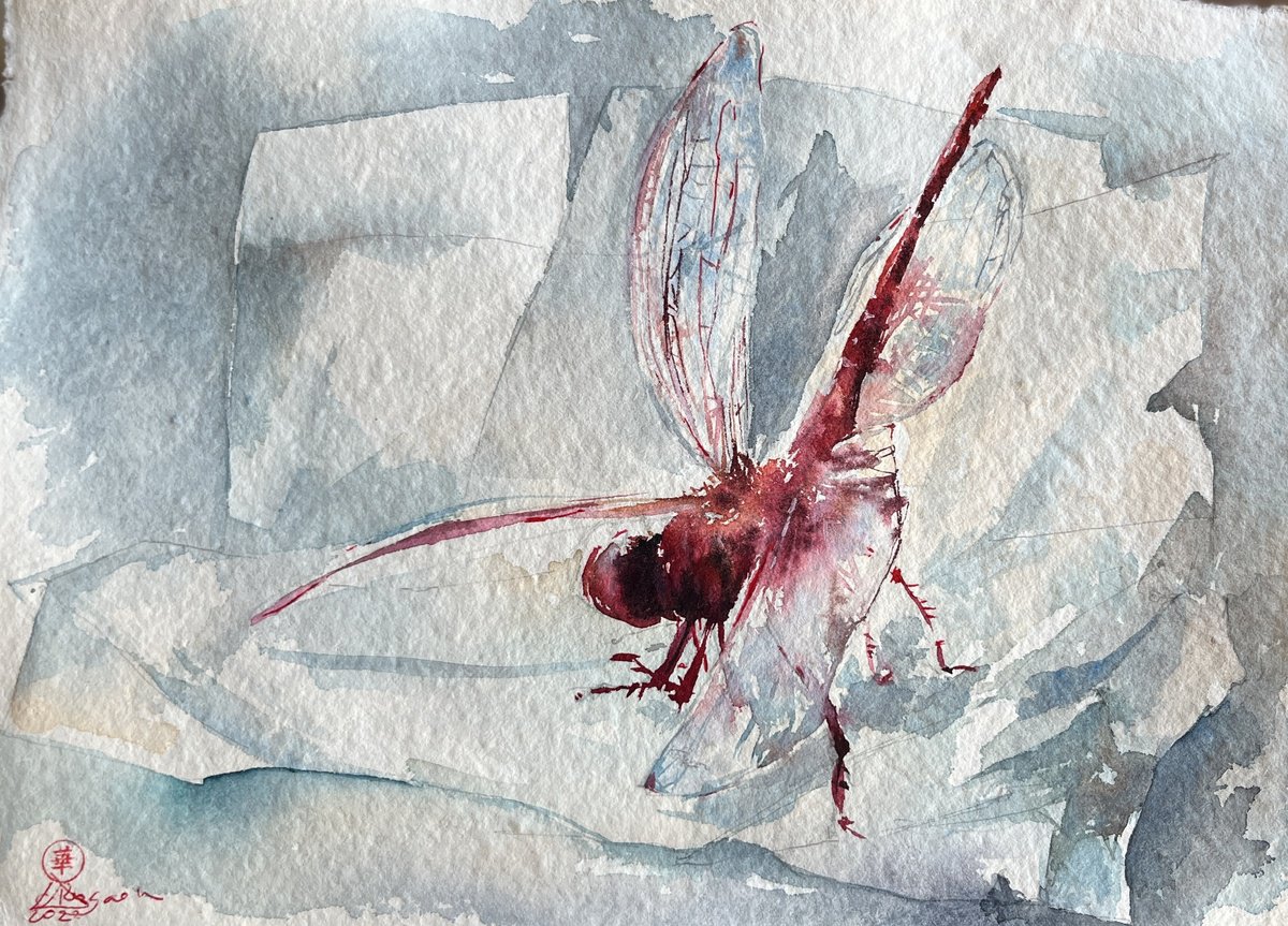 Insectopia/Red by Larissa Rogacheva